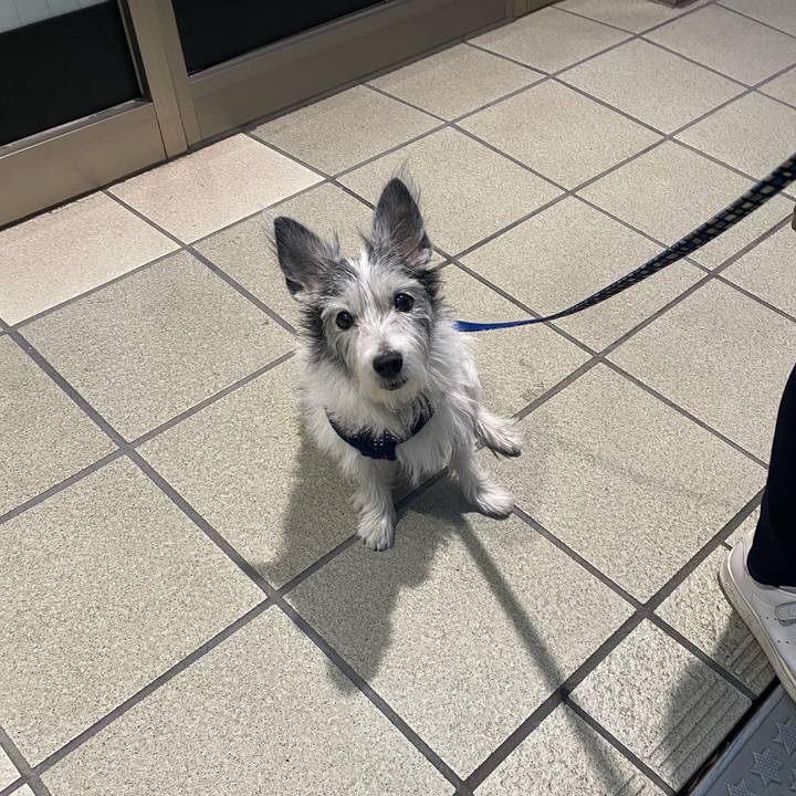 2a8d4d42 e99d 480a 9c0d 227fe0c14a26 1606650618386