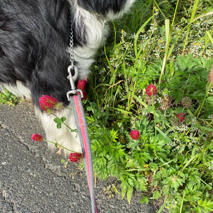 2a8dee63 c80f 4d4b b7b9 9b709d4a3fb4 1620517371831