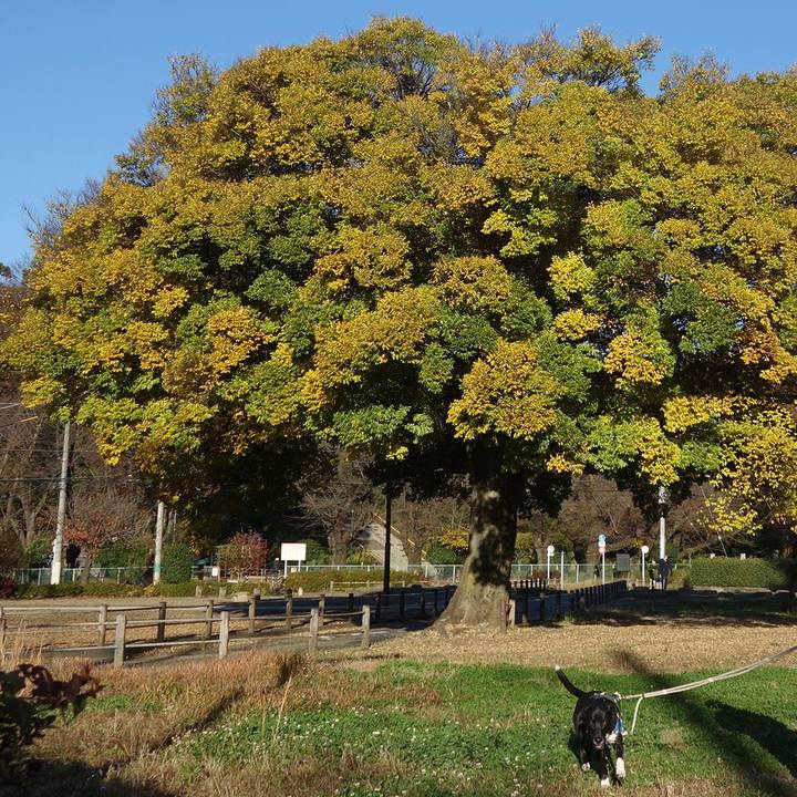 2a8e0aba 9b94 4368 b1e8 be6ed61cff68 1637802031509