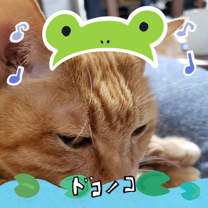 2a8e0c65 aa7a 4dfc 944e ac4972db3a94 1717567049763