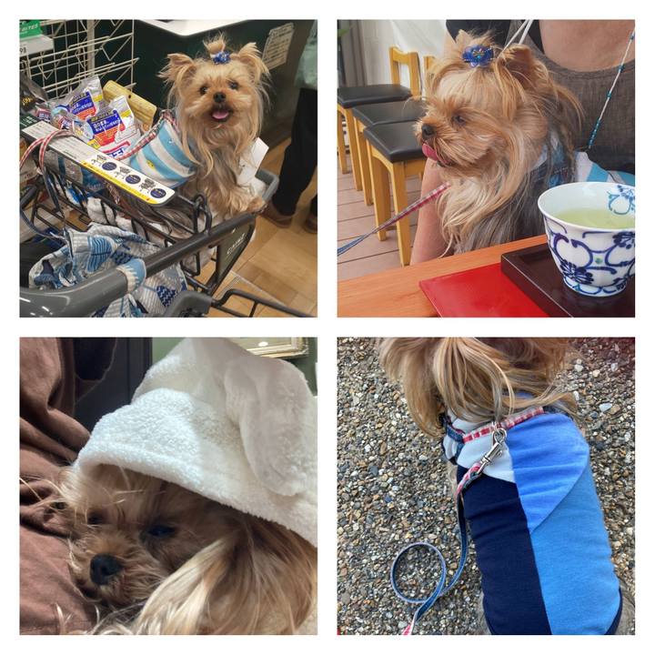 2a8e240d f1b4 406d b902 b99742ee3ed0 1687227851668