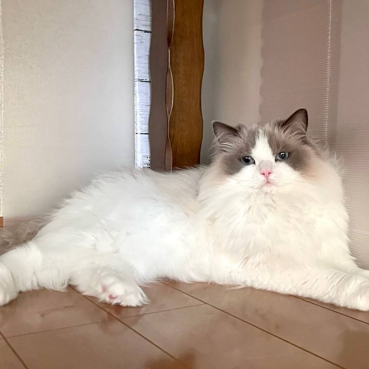 2a8e6af9 670c 465f aacd 3782350ba3a0 1700471640947