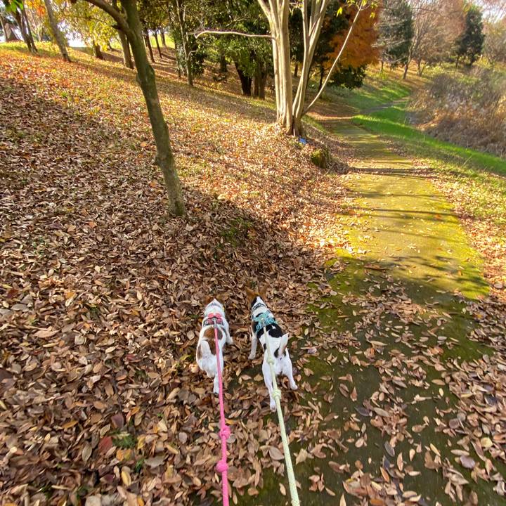 2a8e8857 41ff 4cee a27d 86ea3d4e77d1 1764478889469