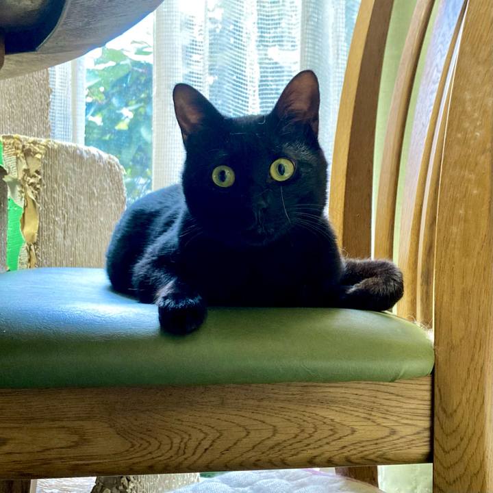 2a8eba50 163e 45a4 af9c f6c41a2a1de5 1665216841827