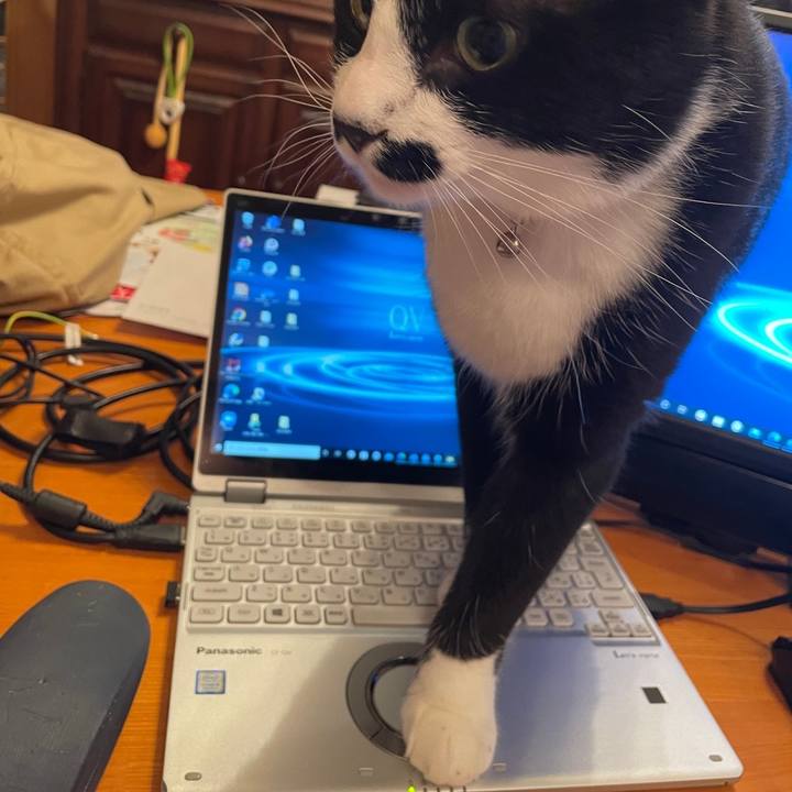 2a8ebffd a561 4e2a abcb 72042f87ab3e 1654692261477