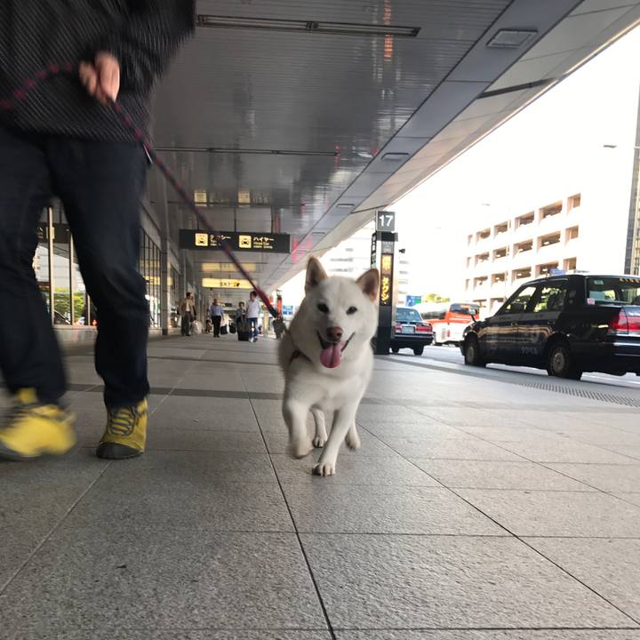 2a8ec4ee a244 4d03 8031 89aa4a98f6a3 1526807598481