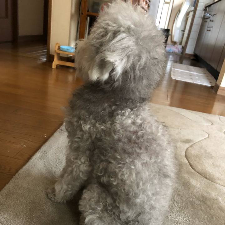 2a8efeb2 f915 41ae b2b8 a06ae2f043d6 1621296696593