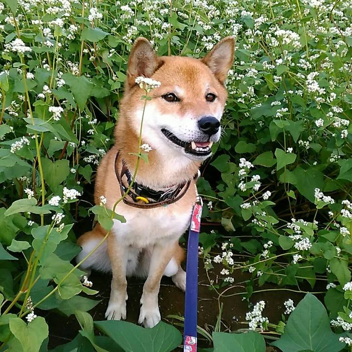 2a8f1114 2db5 45ba 85ba bda9d3962e24 1569570467045