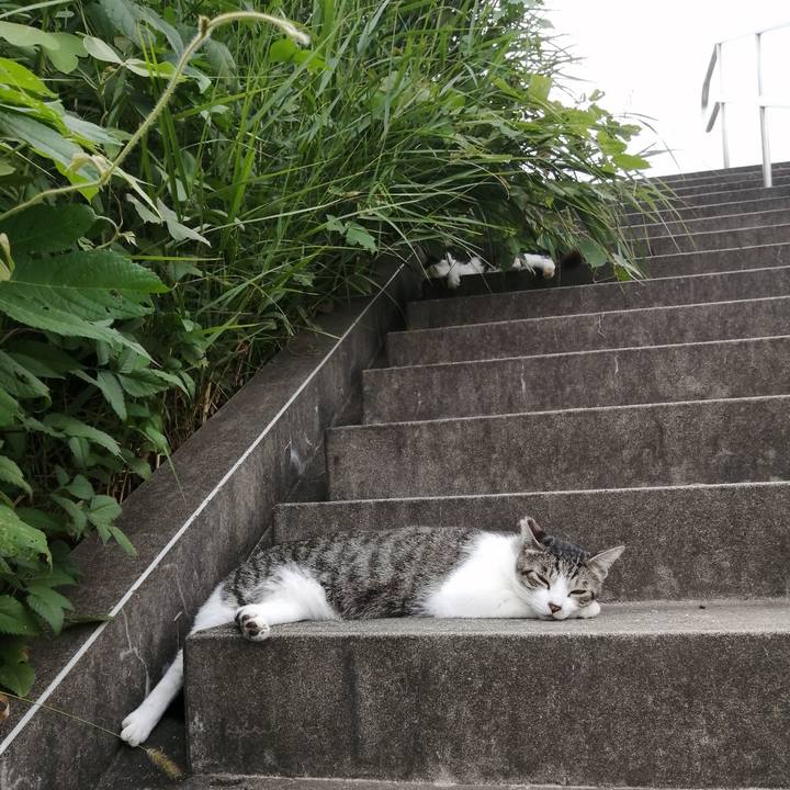 2a8f396e 435e 4f2f a9cc 6fa43359816b 1566386376154