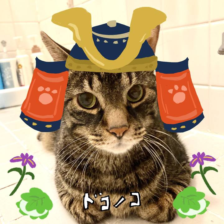 2a8f5c40 3090 4adb a822 0733c0ac38c2 1714995330337