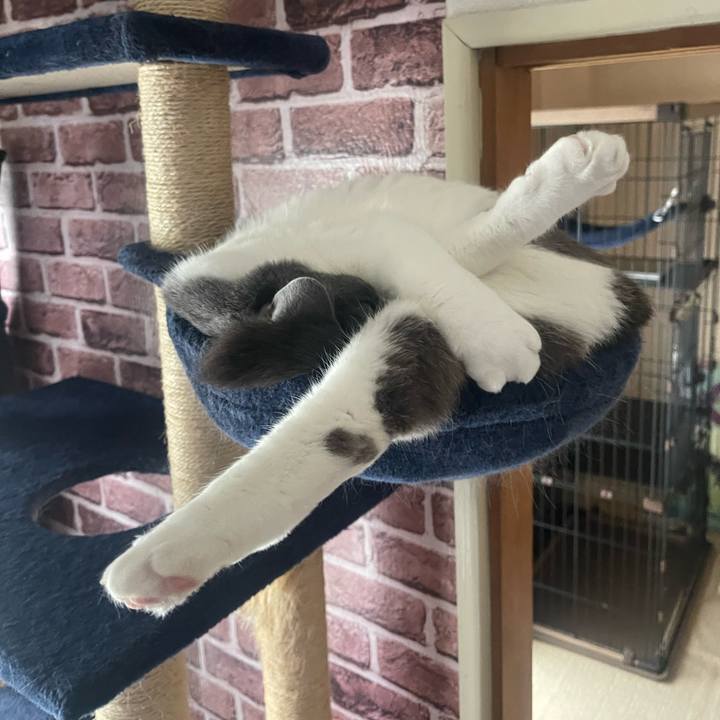 2a8f6d4a b945 471d 9f15 1350816c4f0b 1683433399753