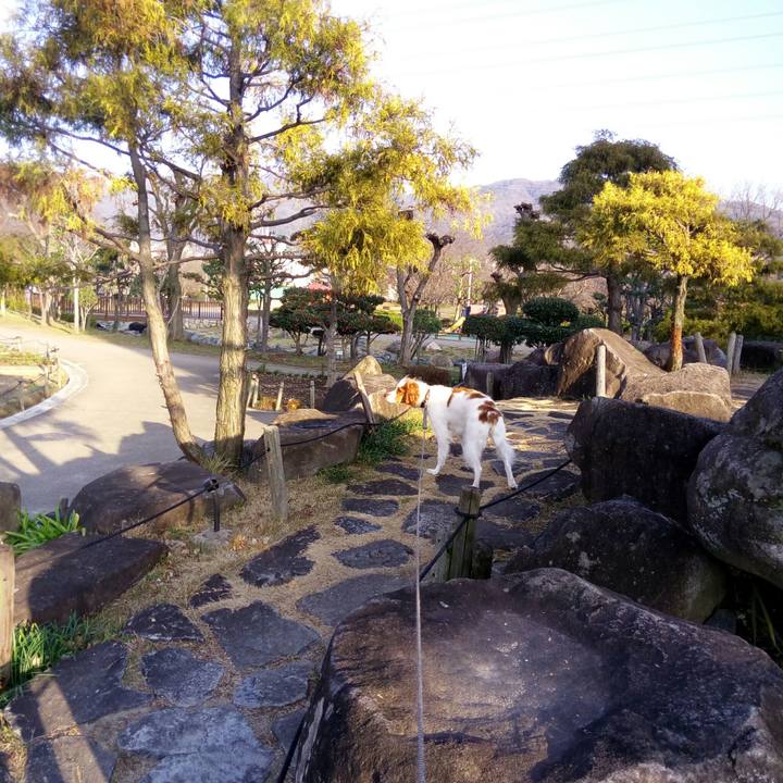 2a8f7ba7 0bd3 4f2d 9c79 78d2ffe3e6e8 1516360776509