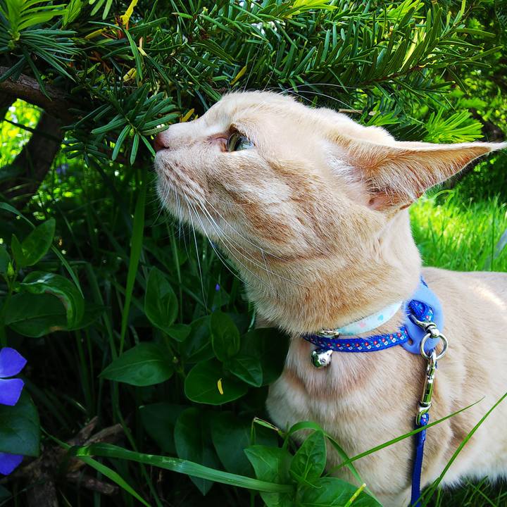 2a8f864a 93c8 4991 b5ac c3687aecbedd 1622683019869