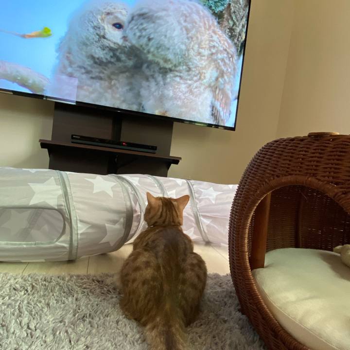 2a8f8c11 a8e6 475f acae b3763d6531e1 1632005856441