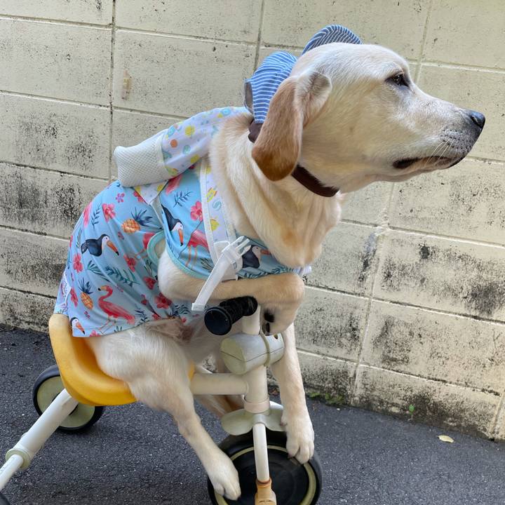 2a8fb5ce 7fbf 49cd 9756 9981ab00d144 1624537907932