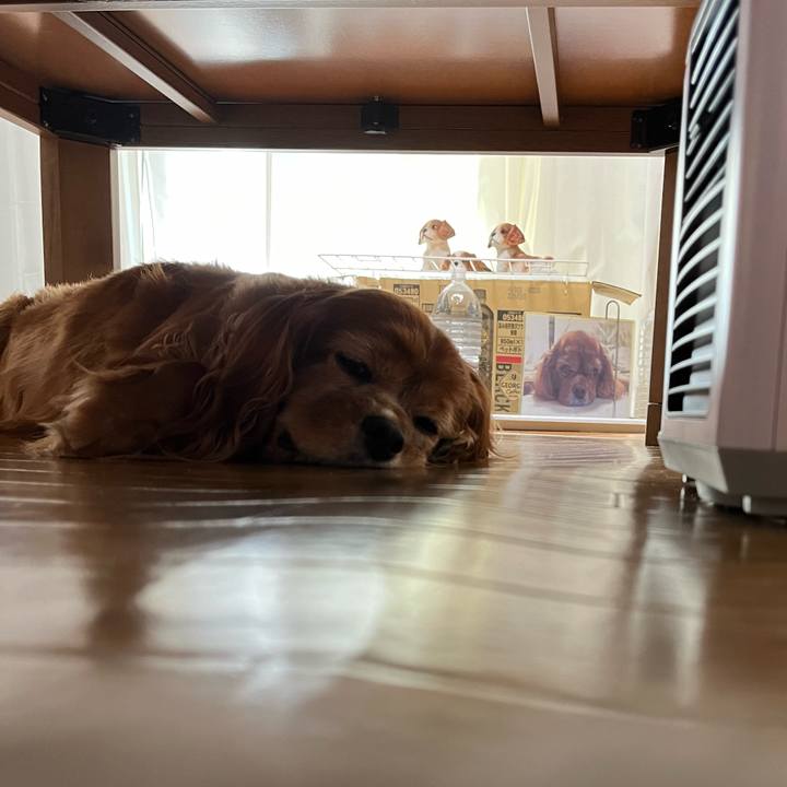 2a8fc46a d066 497b 9c7e 412a8ea67dee 1722211006107