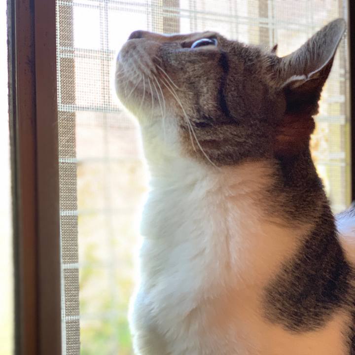 2a904c3c 5eeb 4be4 b2cb 6ae65e99fedf 1557883724722