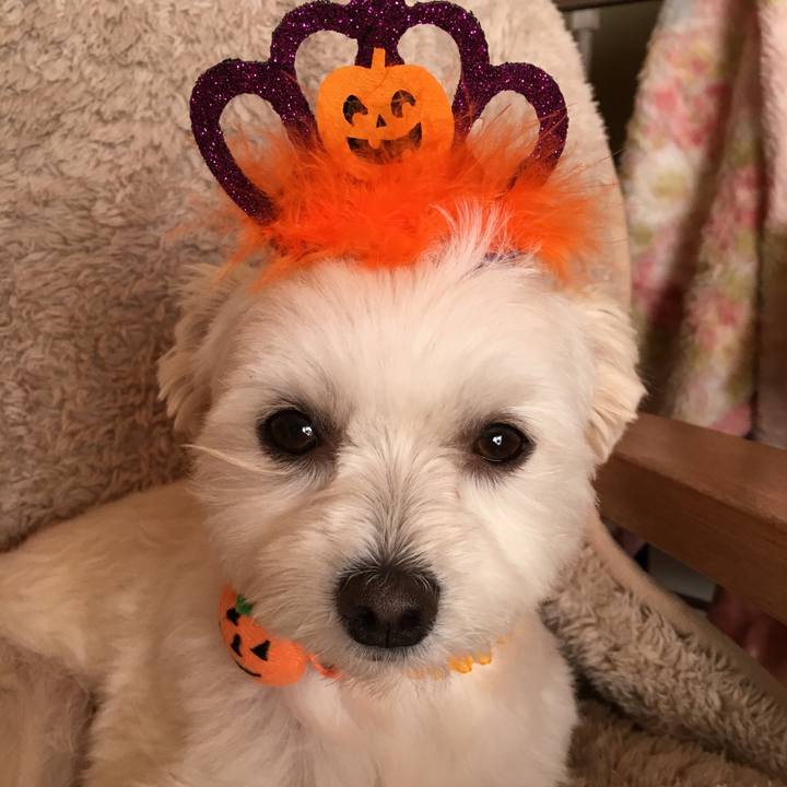 2a905df6 48c1 4eff afcb 5ef1e58e94e1 1509411641884