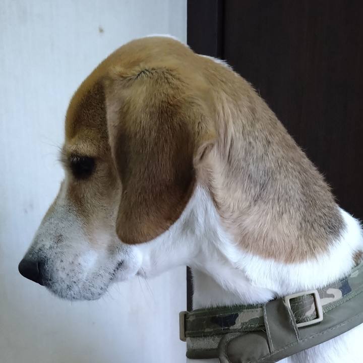 2a905f20 d634 41cf 9ecb 52ffe921fd0b 1673876612305