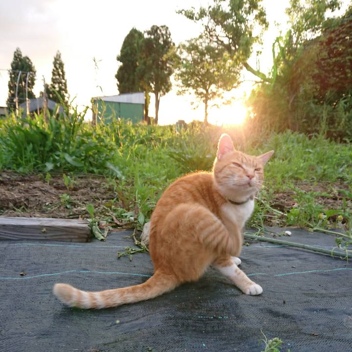 2a909ab6 f342 4f7c 9a56 2cb579761a32 1594288599962