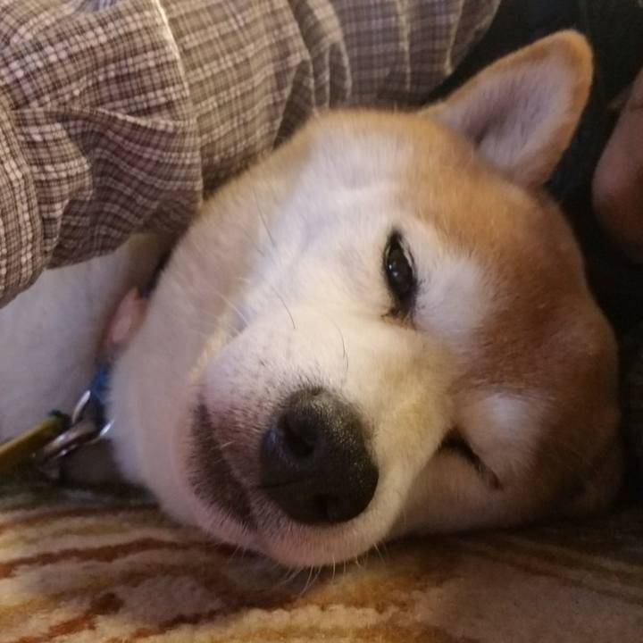 2a90c14b 7c2a 483e be9c 8553d80914d1 1573955174572