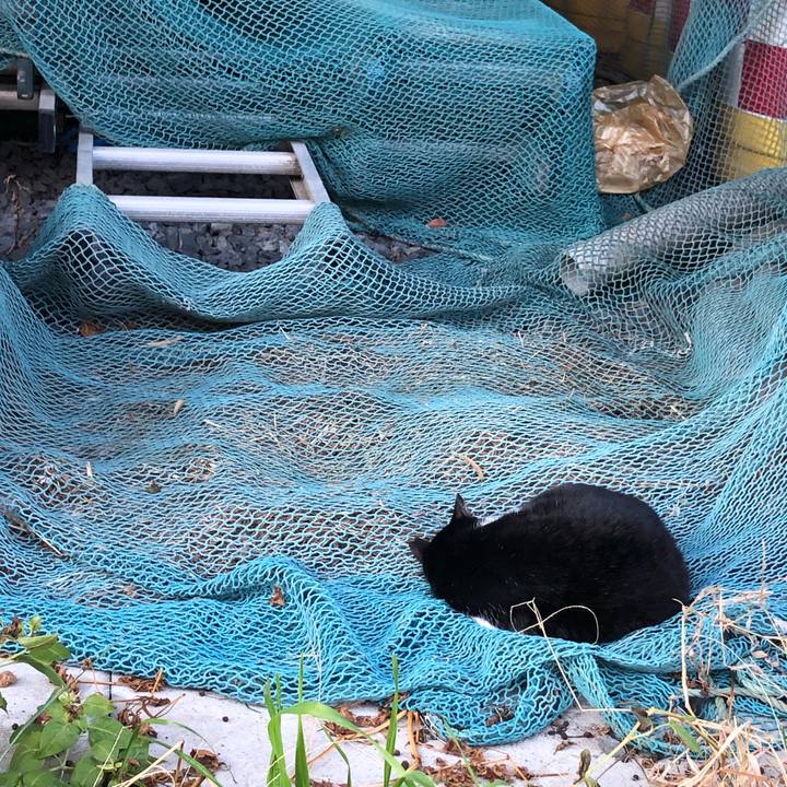 2a90f3d2 1d92 412e 964c 0d52156a7695 1580974920696