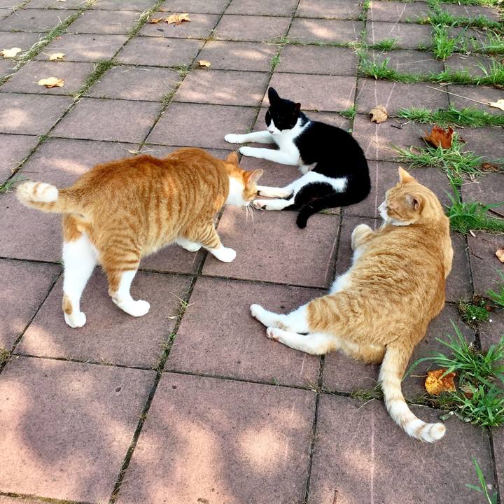 2a90fb0f 377f 4180 a990 eda72ad346c9 1566091285393