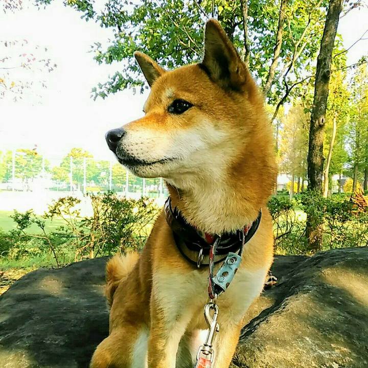 2a9105df f8b3 4baa 99c6 03f3d34dabd2 1569802671858