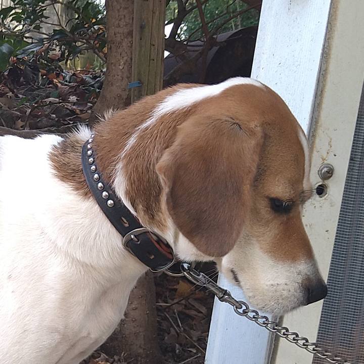 2a915388 04ee 40ec 99ad 8323d40b4a60 1636382493845