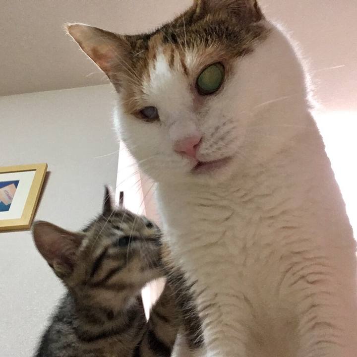 2a915a6a 9919 4ce4 9261 da3bca260184 1568454156403