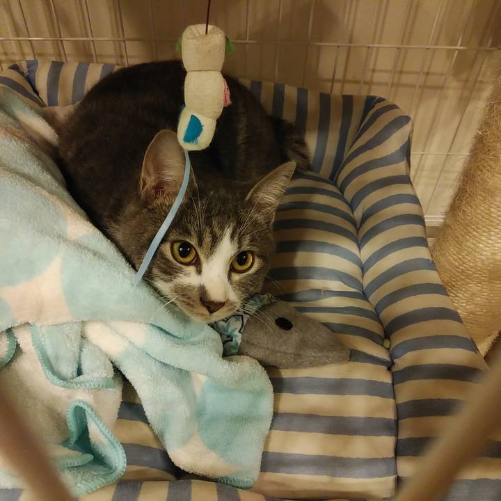 2a917f18 d43a 4e97 8eae dae9dc633067 1573567173759