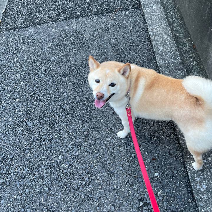 2a91ac5c 7743 4aa2 a20f 57b196180700 1660824798581