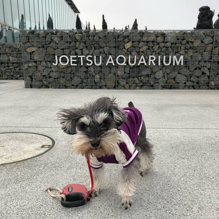 2a91e124 e7d0 4e2a 8404 28fce8694ebd 1552386216903