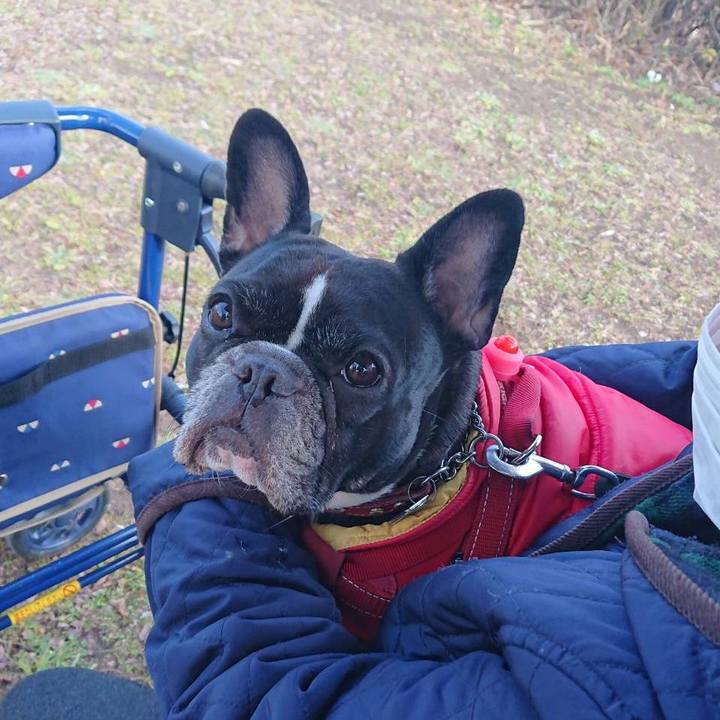 2a91e3bb b5f0 4dee aa51 a8314a18a5d6 1579051735121