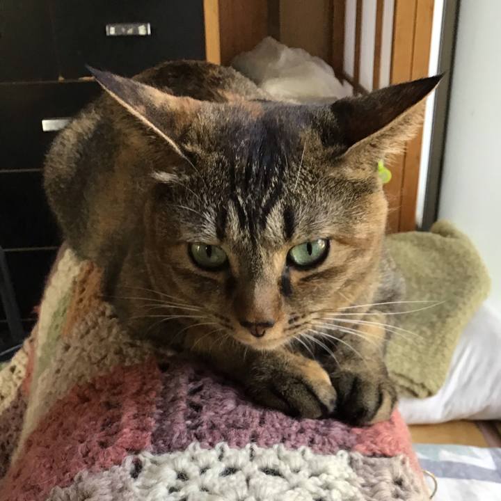 2a91e439 b045 421a 9ef6 6eecfdbd9b57 1633417674712