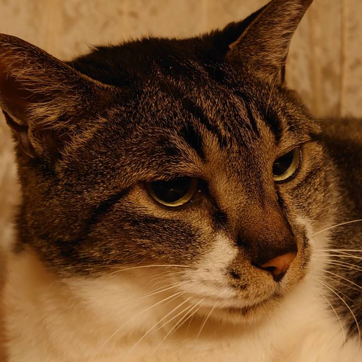 2a91eee7 8edc 4121 bfbe feb668588f27 1661774406720