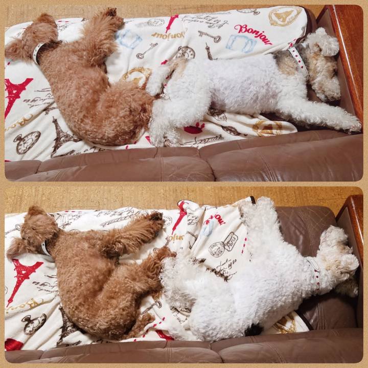 2a921fcb 3659 428b 9f89 65c449623960 1556201914386