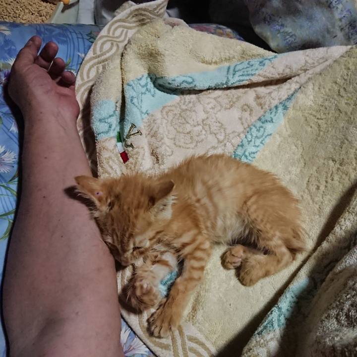 2a922551 b0a6 4fb0 b02e 9aa4797d5bcf 1627822335224