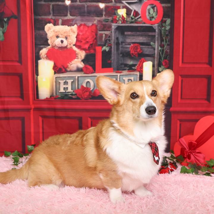 2a927fa5 90a0 4b18 9c18 985d83d5de71 1772378192891