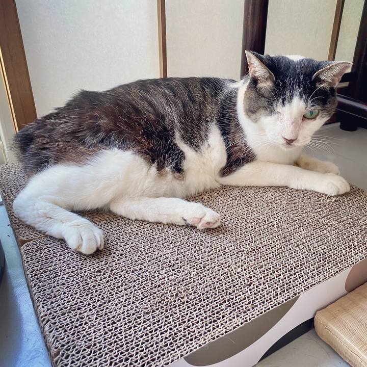 2a9282e9 e761 4607 836f d67fdf25ba6d 1597125431159