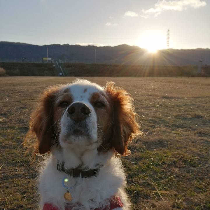 2a92a4d9 33c1 4774 8ed7 4b921d41b085 1609481425566