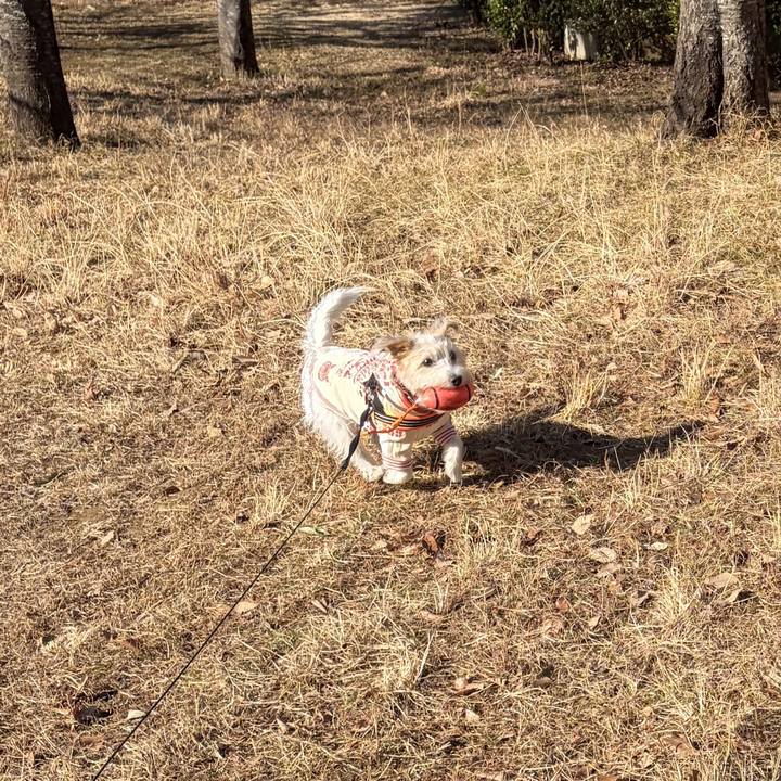 2a92f1ba f5c7 4b33 9d9c 469ca7eb2086 1768707538990