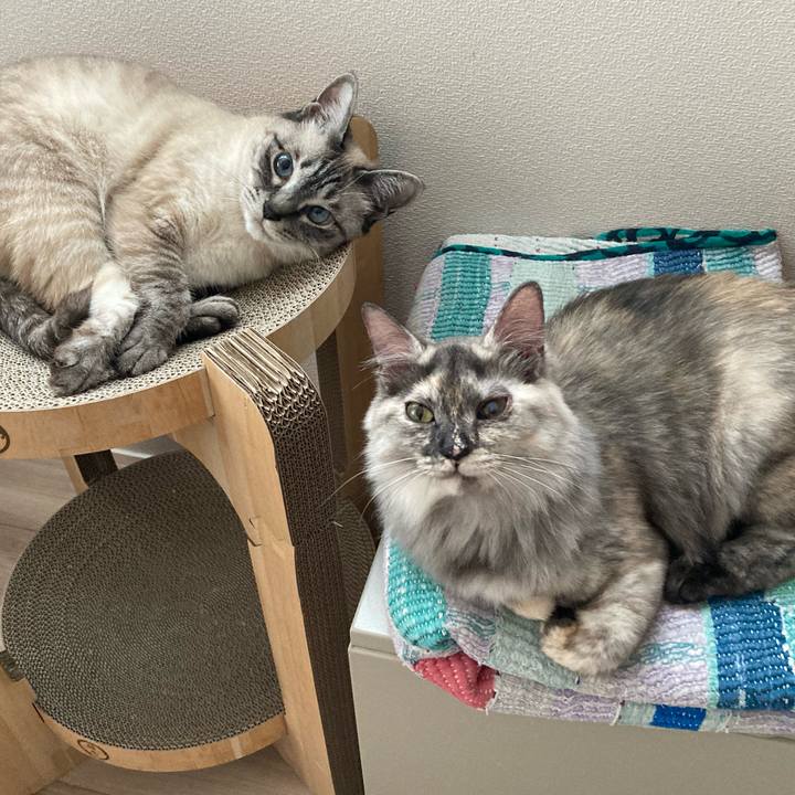 2a92f466 1f75 4672 8b6a 53b51cfa4922 1716874548654