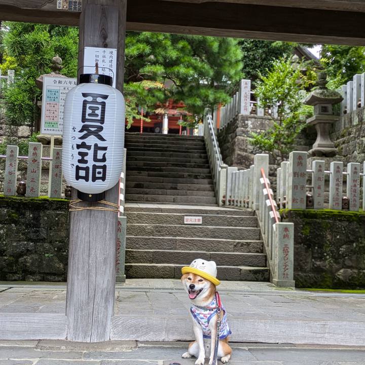 2a92ff45 e6a6 46e8 ace1 5c92c97984e5 1721346066844