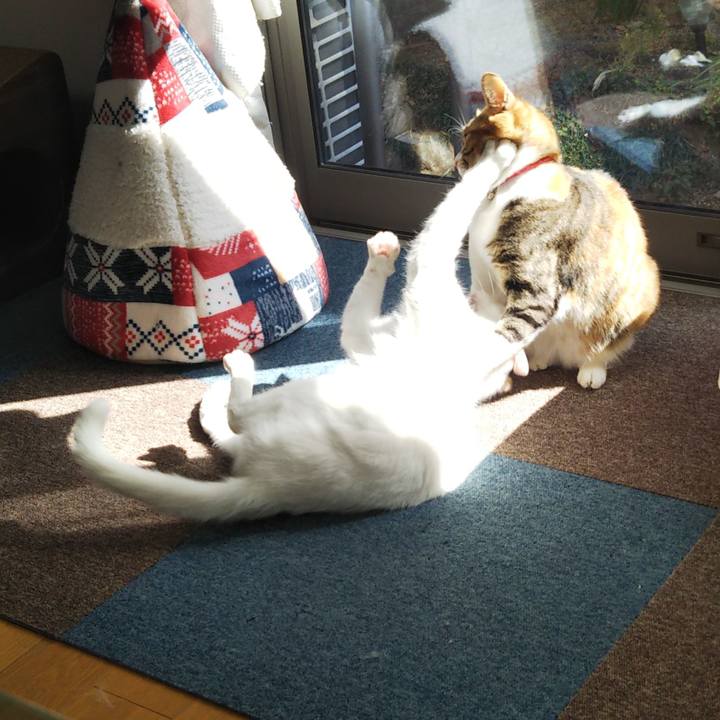 2a931060 17e3 4ab7 bef5 c59535b9d8e3 1710132276716