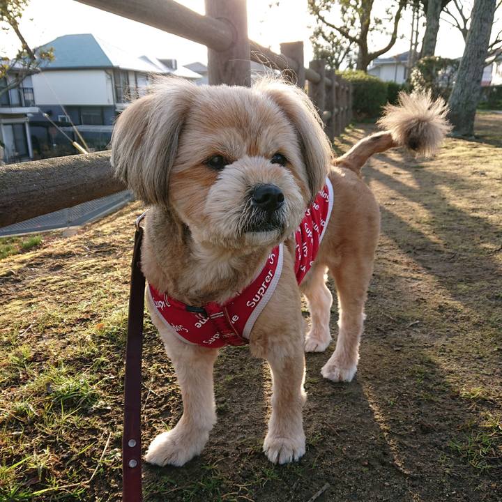 2a93173c 28ab 4a20 b258 0dfb1895f952 1614562109932