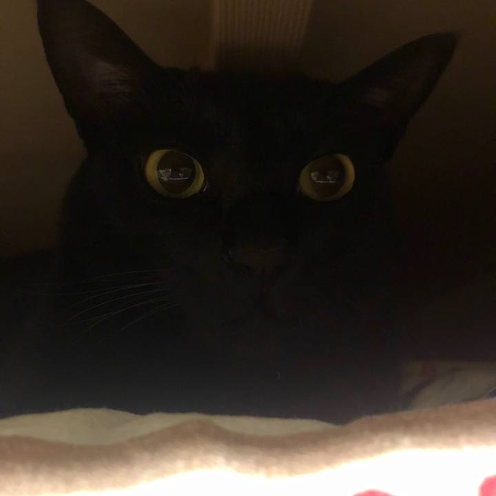 2a932673 a542 4af0 8734 c2de9ce1cb7f 1550665251070