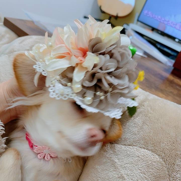 2a93a2e8 103d 4822 9ca6 d8fe3a959466 1613788090713