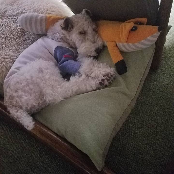 2a93a8d4 821c 4d87 b1d3 06d3db77715e 1581515253694