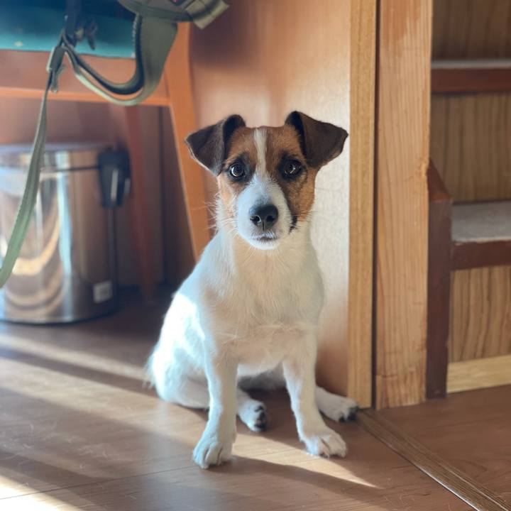 2a93bd81 19f3 4dbc ad14 e9a6711753e2 1629439781138